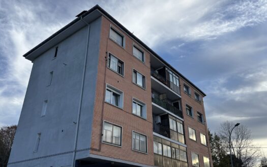 Piso en Arantzazu, Zelaia