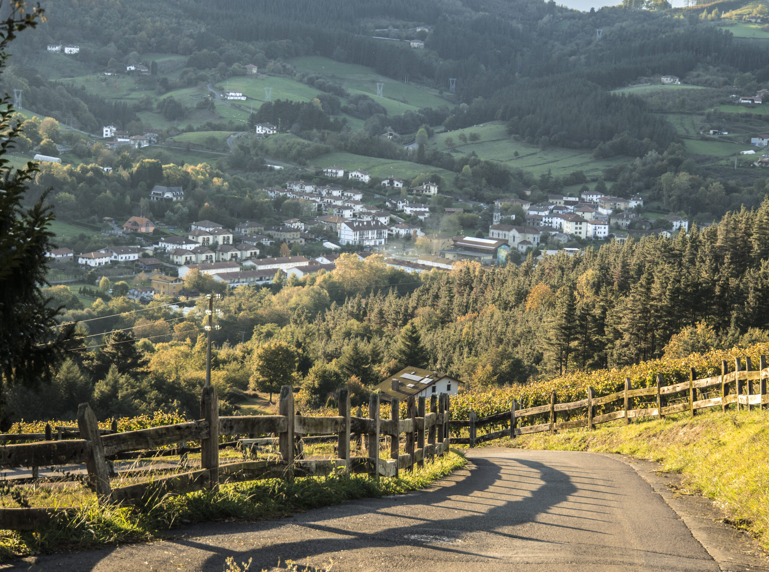 Vista panorámica del valle de Arratia con montañas y naturaleza en Bizkaia